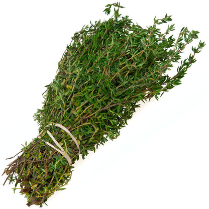 Fresh English thyme bundle with green leaves and woody stems on Tampa Home & Garden Store
