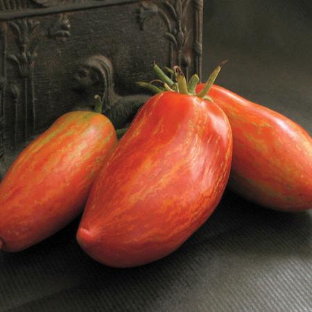 Striped Roma tomato fruits, 3 elongated red-orange tomatoes with yellow stripes Seedtime Store on Tampa Home & Garden Store