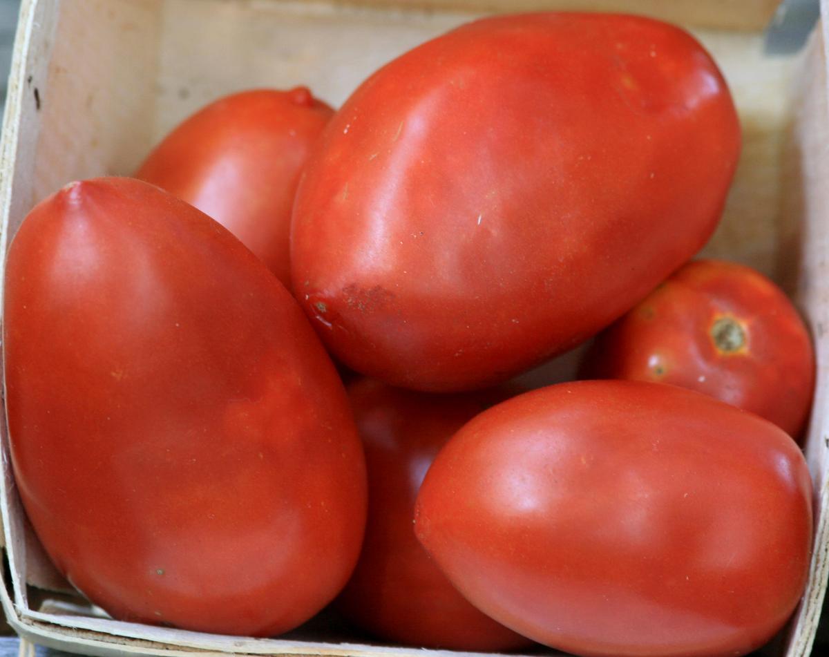 Amish Paste Tomato seeds red tomatoes in a wooden crate Seedtime Store on Tampa Home & Garden Store