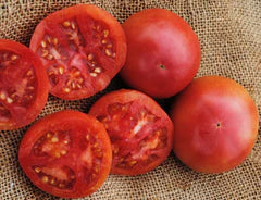 Eva Purple Ball Tomato seeds Seedtime Store ripe red tomatoes on burlap background on Tampa Home & Garden Store