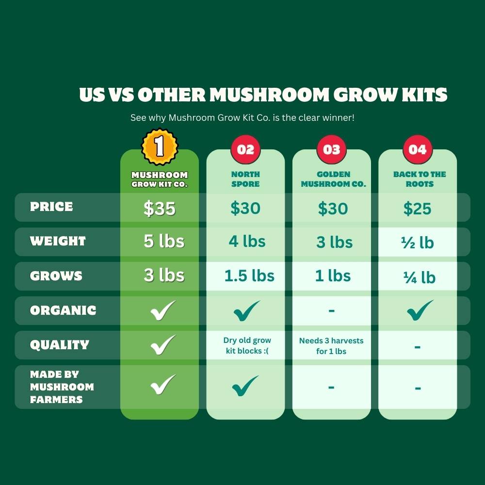 Premium Pink Oyster Mushroom Growing Kit - 5 LBS