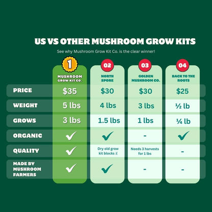 Premium Pink Oyster Mushroom Growing Kit - 5 LBS