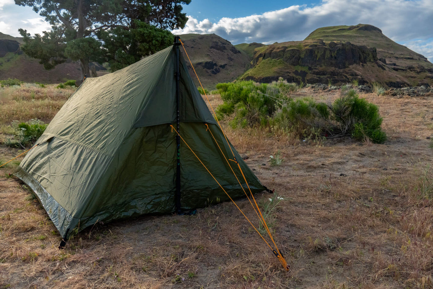 Trekker Tent 2 by River Country Gear, olive-green 2-person backpacking tent in grassland on Tampa Home & Garden Store