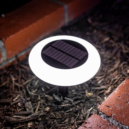 Multicolor RGB Garden Solar Lights | Dusk to Dawn | Super Bright