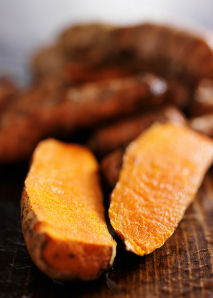 Planta de cúrcuma, naranja (Curcuma longa)