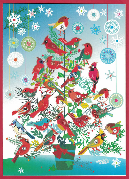 Bird Advent Calendar with Envelope - Tampa Home & Garden Store