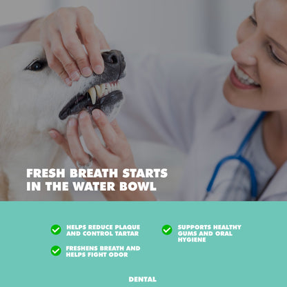 Aditivo para el agua UBAVET Dental Care para perros y gatos: Solución para la salud bucal sin olor ni sabor (473 ml)