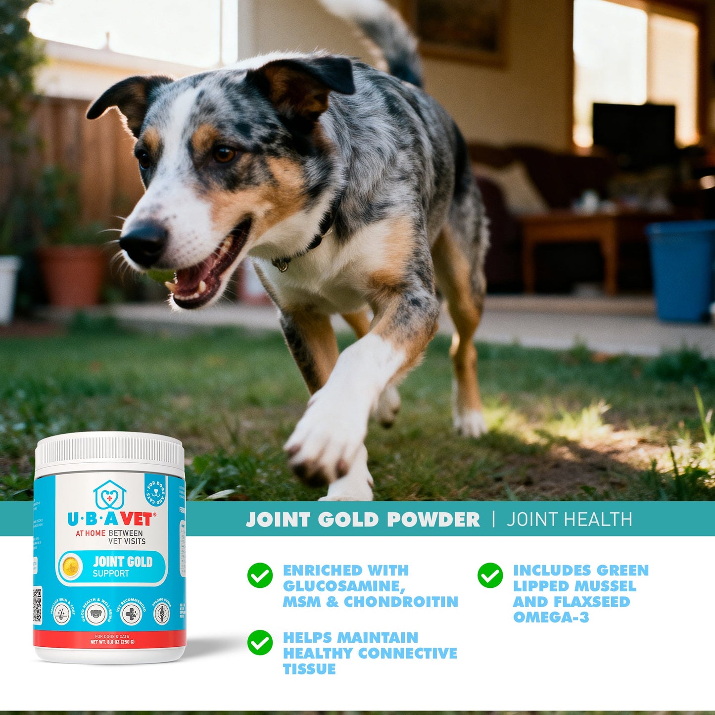 UBAVET Joint Gold Support Powder para perros y gatos – 250 g