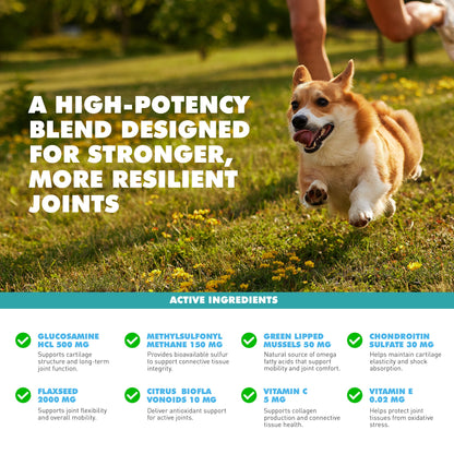 UBAVET Joint Gold Support Powder para perros y gatos – 250 g
