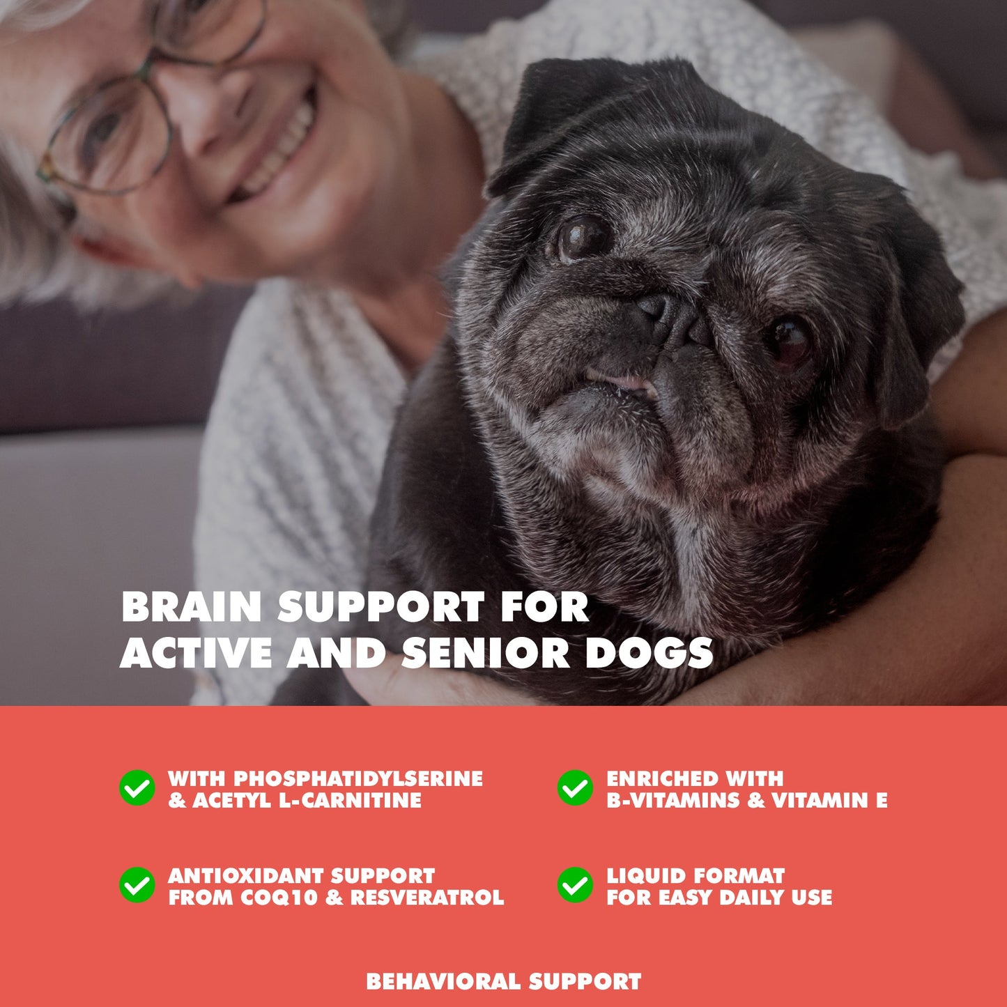 UBAVET - Apoyo para la memoria y el cerebro de perros mayores - 90 unidades - Suplemento para la salud cognitiva