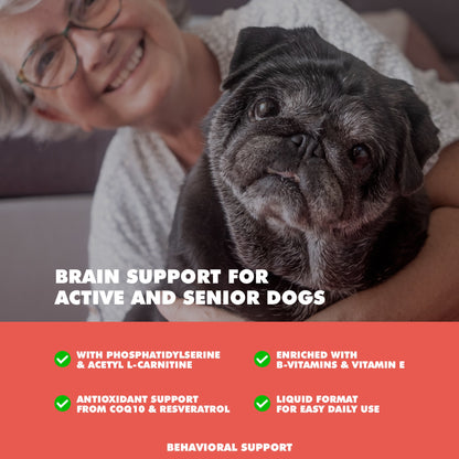 UBAVET - Apoyo para la memoria y el cerebro de perros mayores - 90 unidades - Suplemento para la salud cognitiva