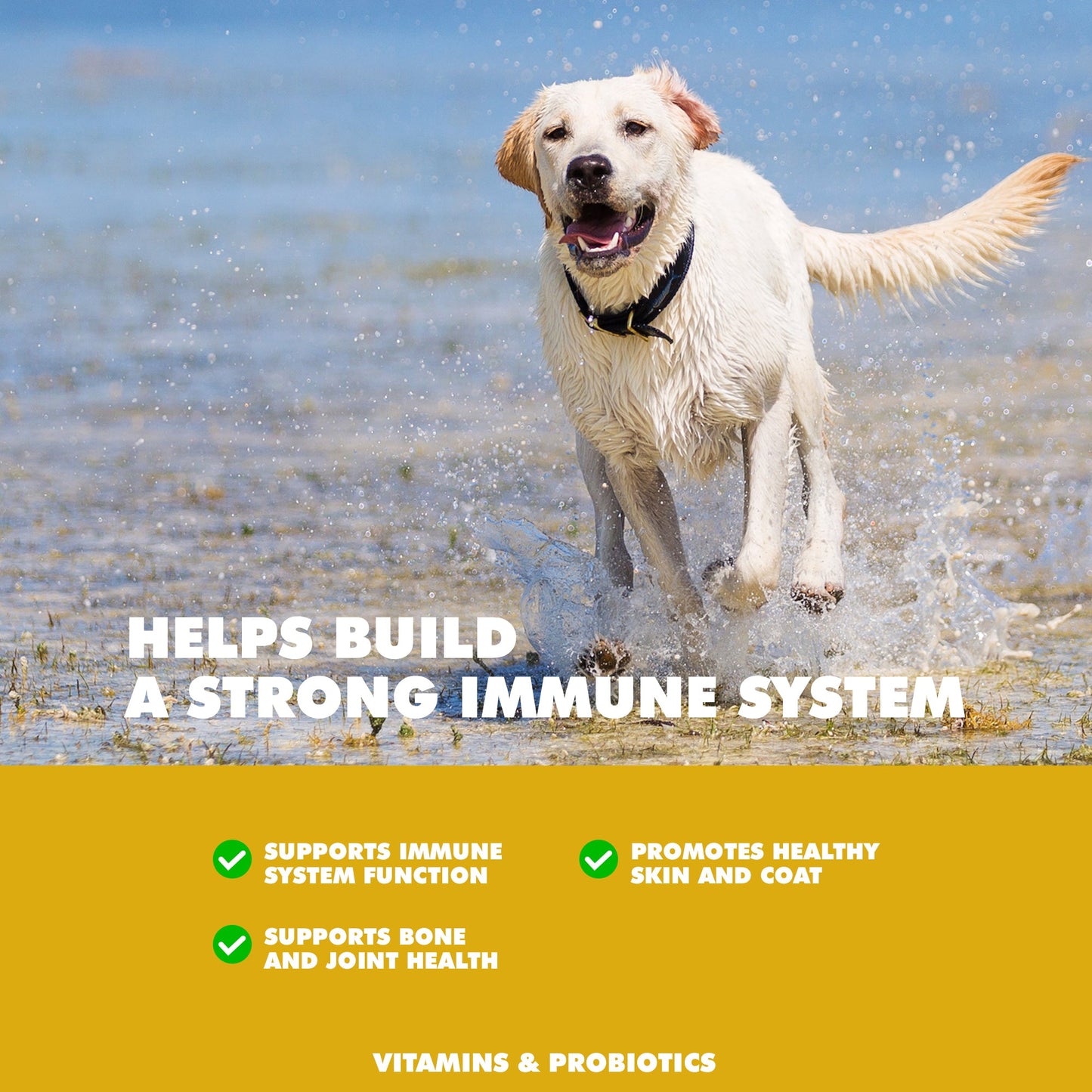 UBAVET - Comprimidos multivitamínicos y minerales diarios para perros (90 comprimidos)