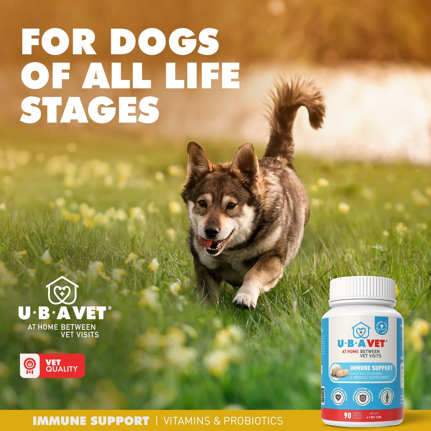 UBAVET - Comprimidos multivitamínicos y minerales diarios para perros (90 comprimidos)