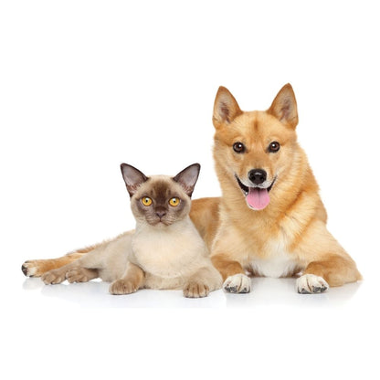 UBAVET UBACALM Masticables Suaves para Perros y Gatos: Alivio Natural del Estrés y la Ansiedad