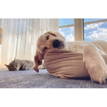 UBAVET UBACALM Masticables Suaves para Perros y Gatos: Alivio Natural del Estrés y la Ansiedad