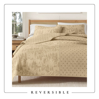 Lodge Bear And Mountain Quilt Set For Winter