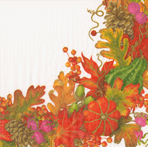 Harvest Garland Cocktail Napkins Bundle multicolor autumn leaves and pinecones motif on Tampa Home & Garden Store