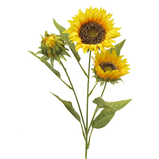 Tige de tournesol à trois fleurs -