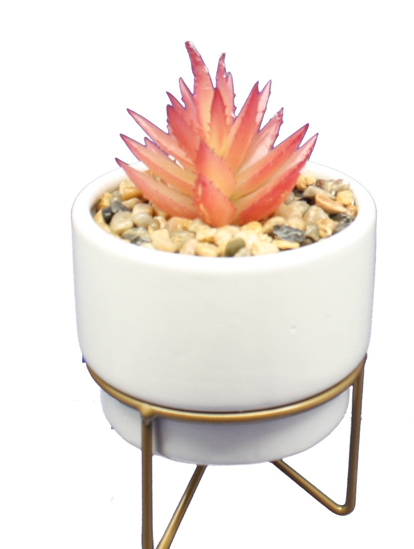 Potted Succulent on Metal Stand -