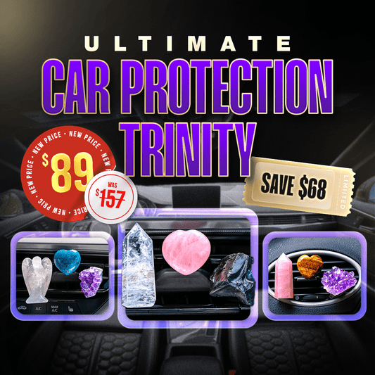 Ultimate Car Protection Trinity - Tampa Home & Garden Store