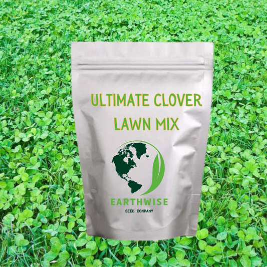 Ultimate Clover Lawn Mix: Low-Maintenance, Eco-Friendly Yard, MicroClover Lawn Seed