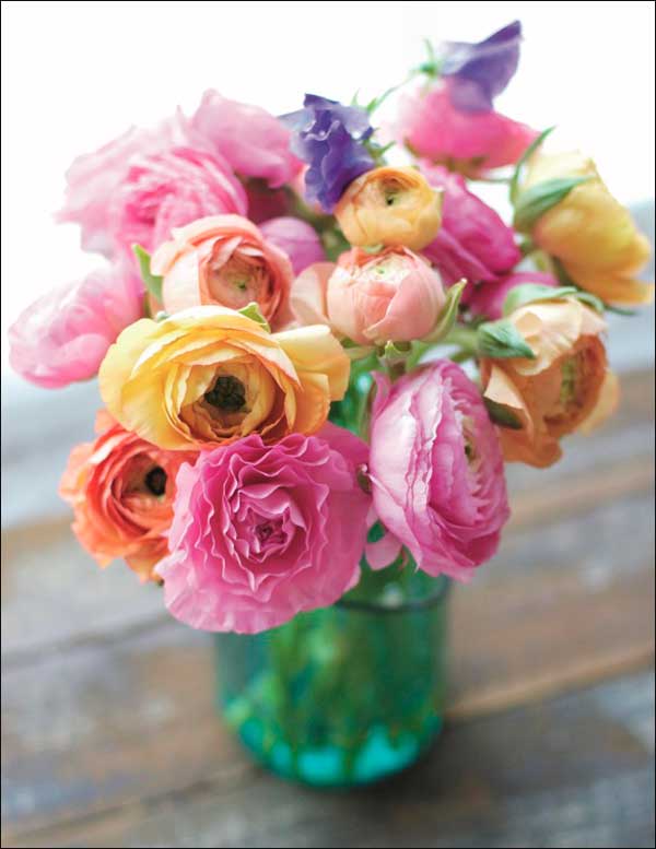 Tarjeta de nociones - En blanco - Tarro de flores