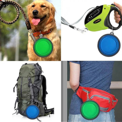 Stevvex collapsible silicone dog travel bowl in green and blue, shown on leash and backpack on Tampa Home & Garden Store