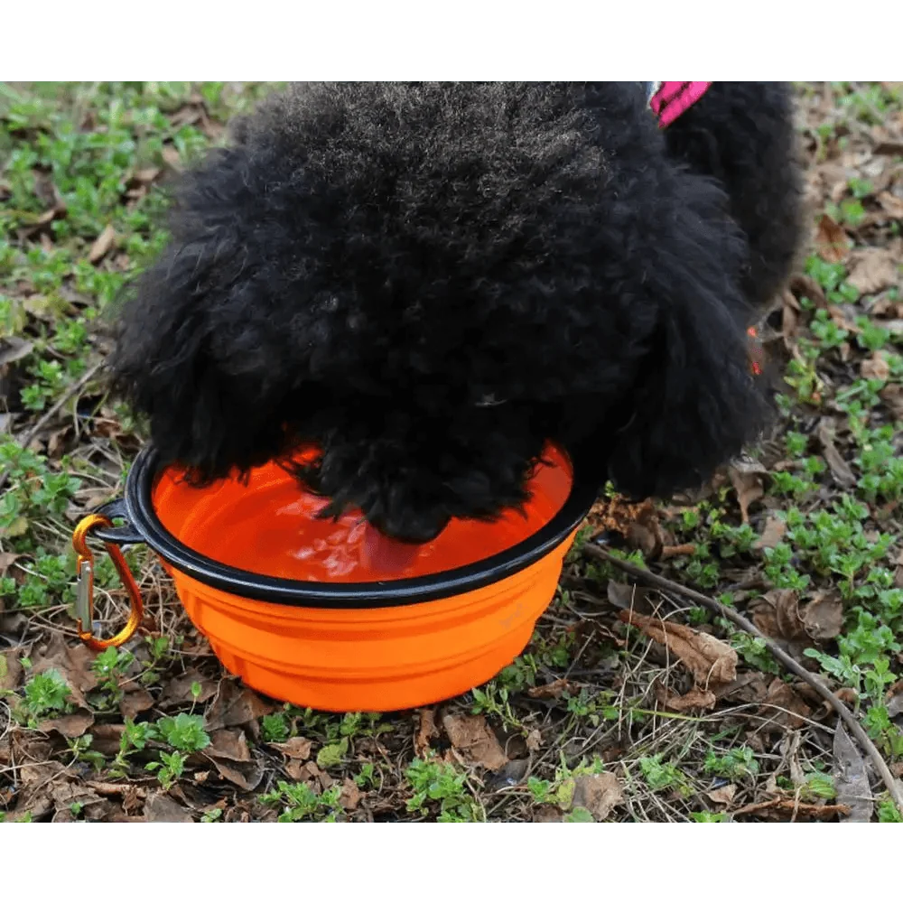 Collapsible silicone dog food water bowl orange with black rim and carabiner for travel on Tampa Home & Garden Store
