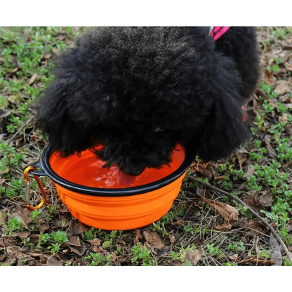 Collapsible silicone dog food water bowl orange with black rim and carabiner for travel on Tampa Home & Garden Store