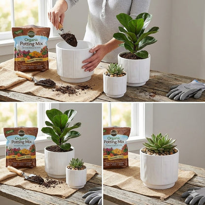 3-Piece White Stoneware Planter Pot Set with Soft Vertical Texture