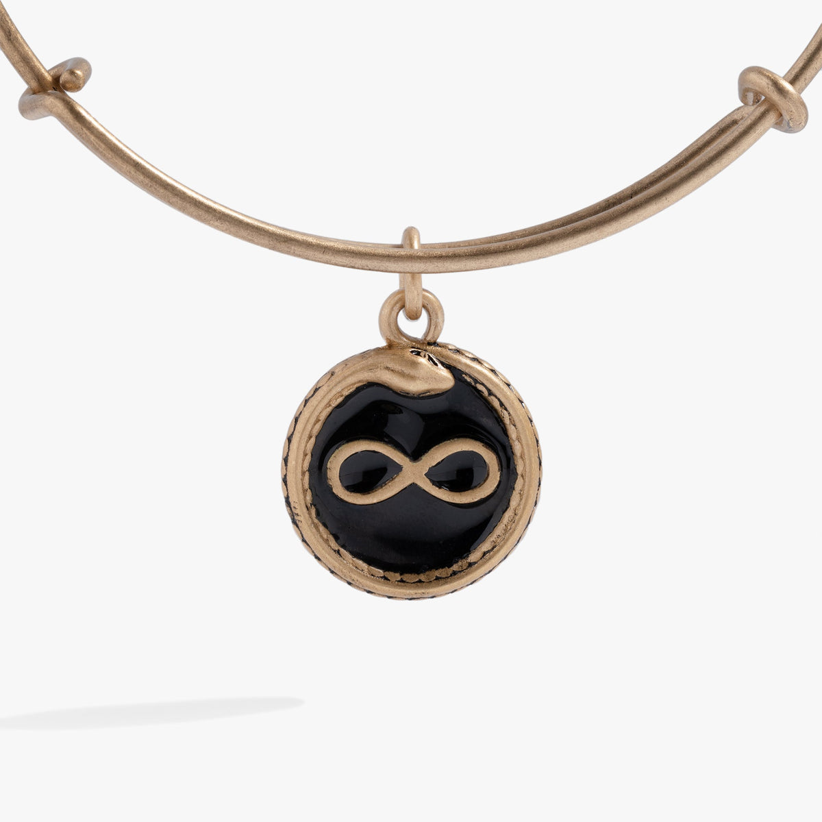 Untamed Snake Charm Bangle by ALEX AND ANI, gold-tone bracelet with oval black enamel pendant featuring snake motif on Tampa Home & Garden Store