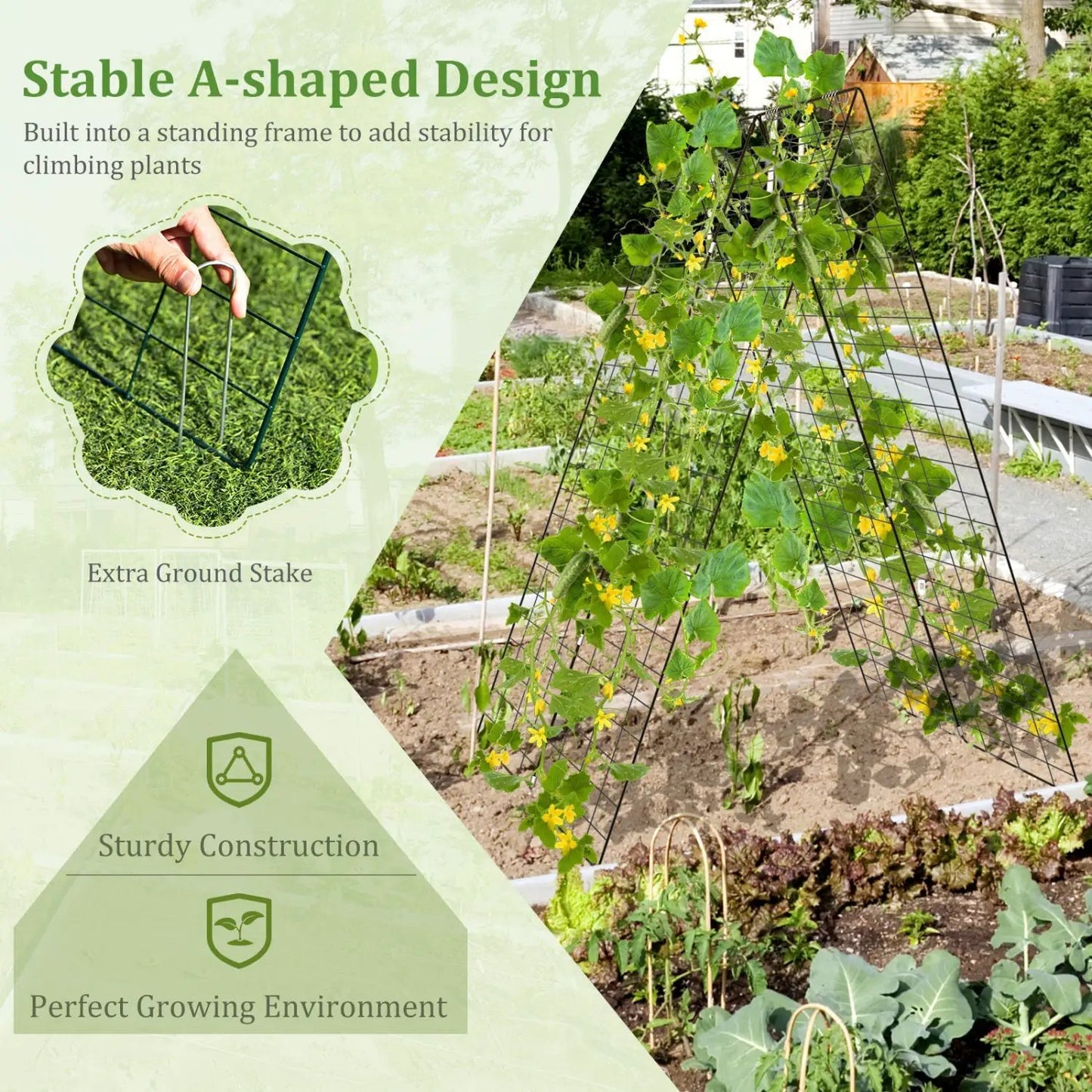 A-Frame Garden Trellis for Climbing Plants