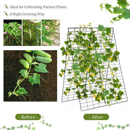 A-Frame Garden Trellis for Climbing Plants