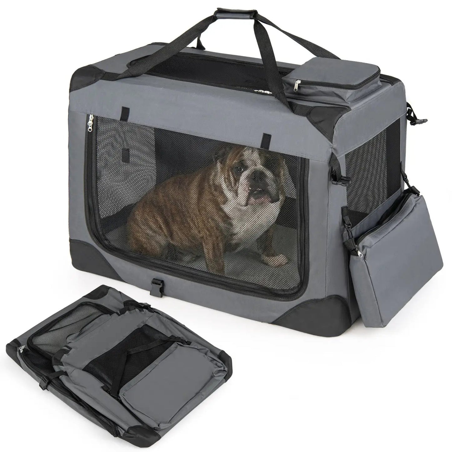 Soft Collapsible Dog Crate with Mesh Windows