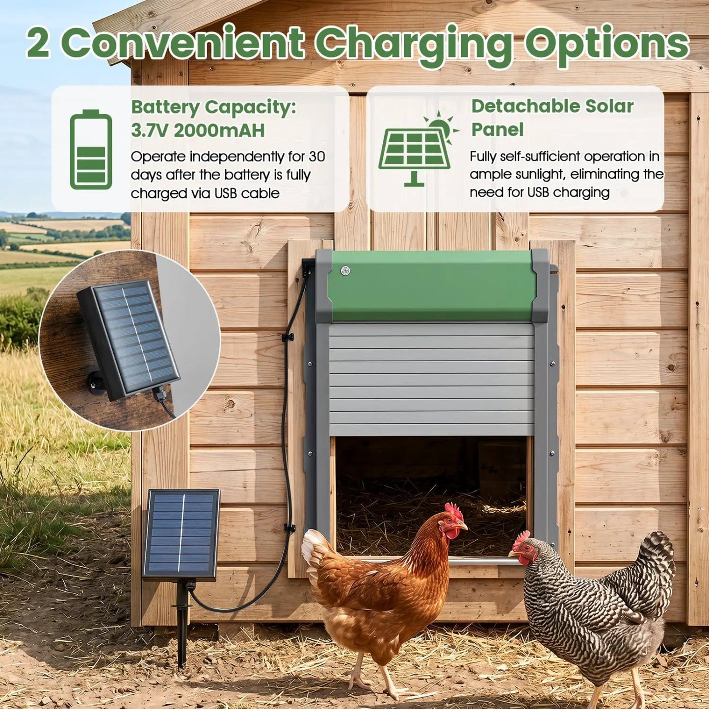 Chicken Coop Door with Remote and Light Sensor