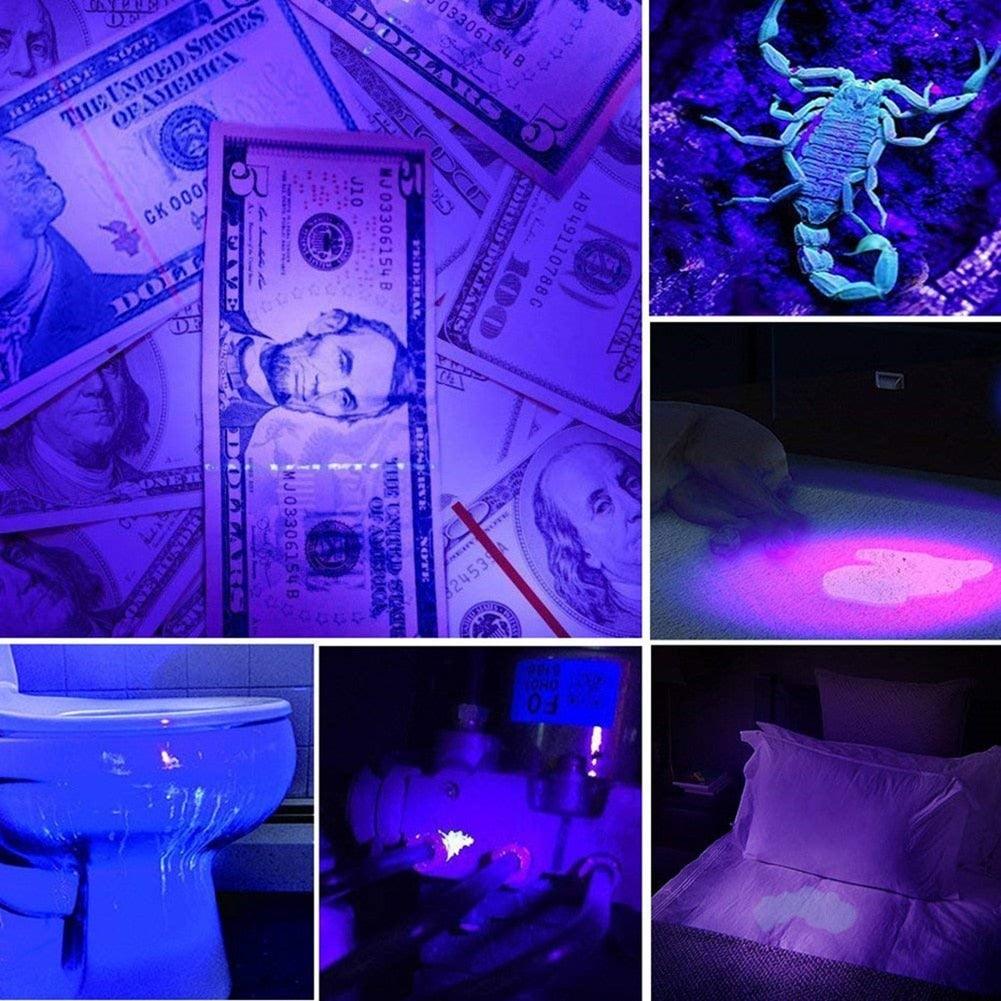 Stevvex UV 365nm flashlight portable purple UV light for dog urine and pet stain detection on Tampa Home & Garden Store