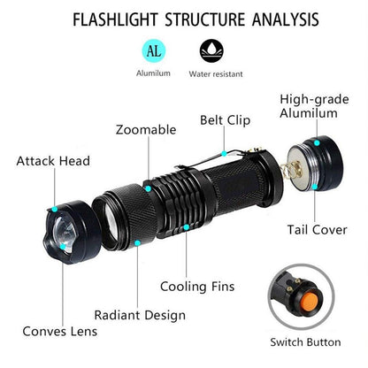 USB UV flashlight with zoomable head black aluminum for pet urine stain detection on Tampa Home & Garden Store