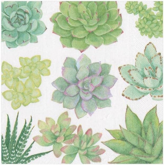 Serviettes de cocktail en papier à motifs de plantes succulentes - Serviette de cocktail