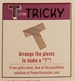 Puzzlebox Brainteaser - T is for Tricky - Tampa Home & Garden Store