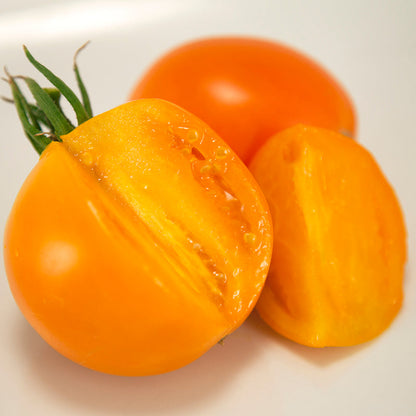 Valencia Tomato seeds orange tomato halves with seeds Seedtime Store on Tampa Home & Garden Store