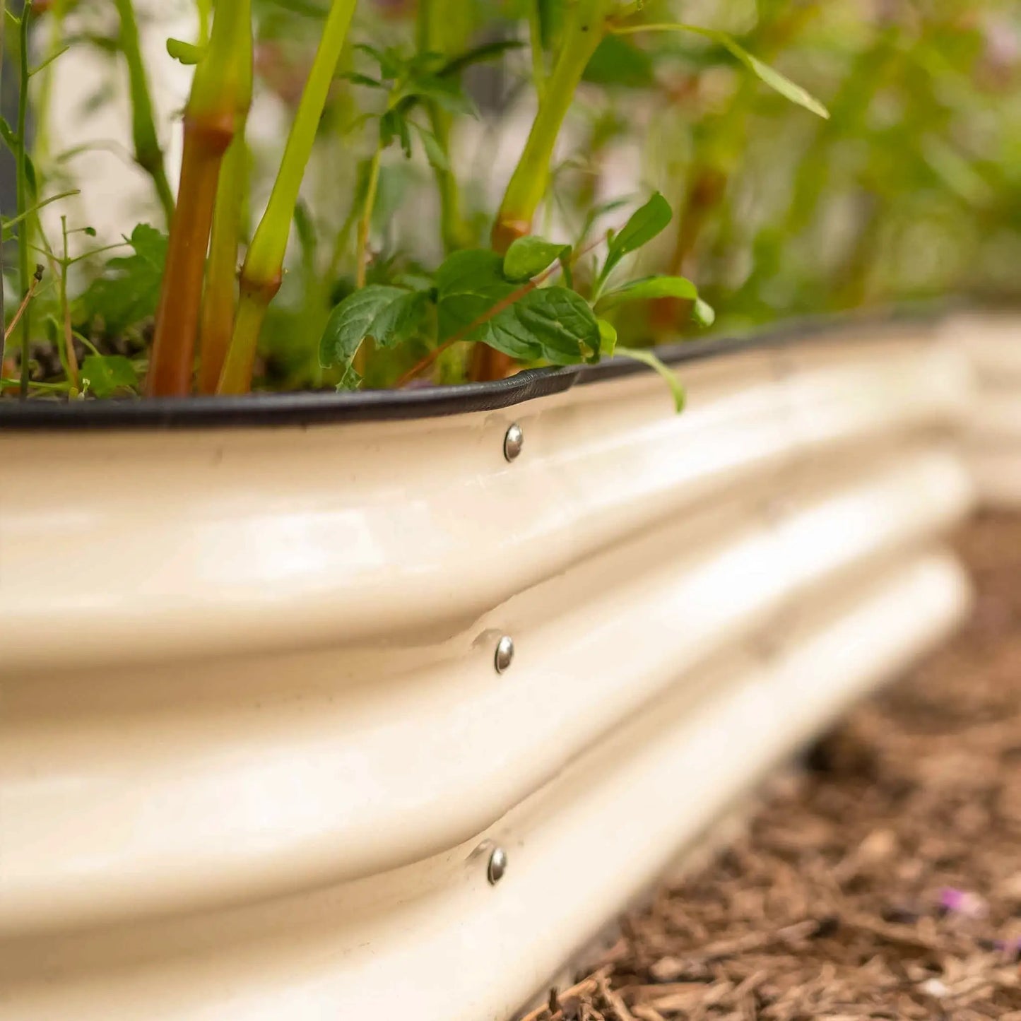 - image on Tampa Home & Garden Store