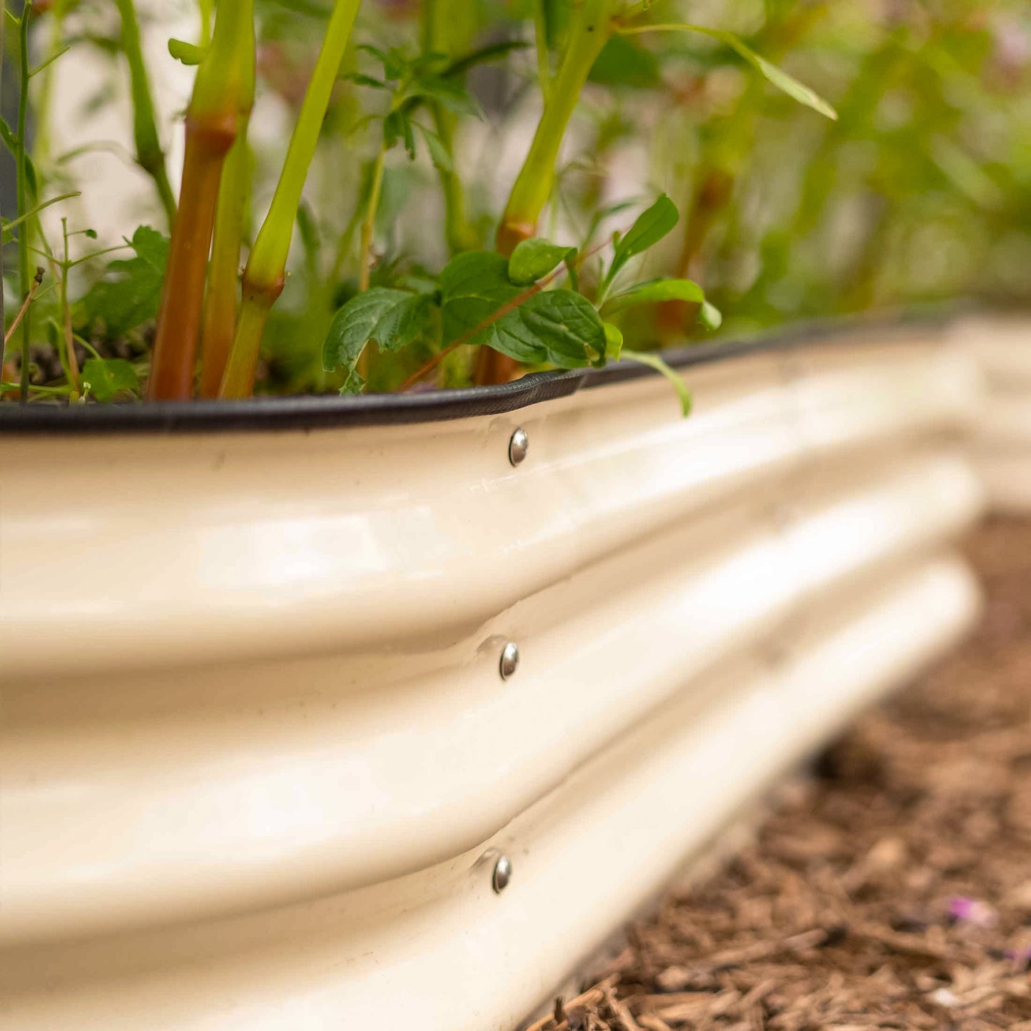 11" High Raised Garden Bed Jumbo Modular 10 in 1 Metal