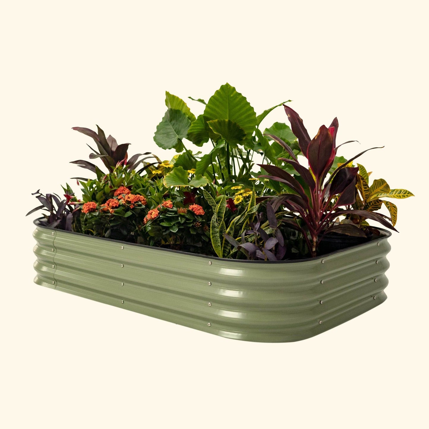 11" High Raised Garden Bed Medium 6 in 1 Modular Metal