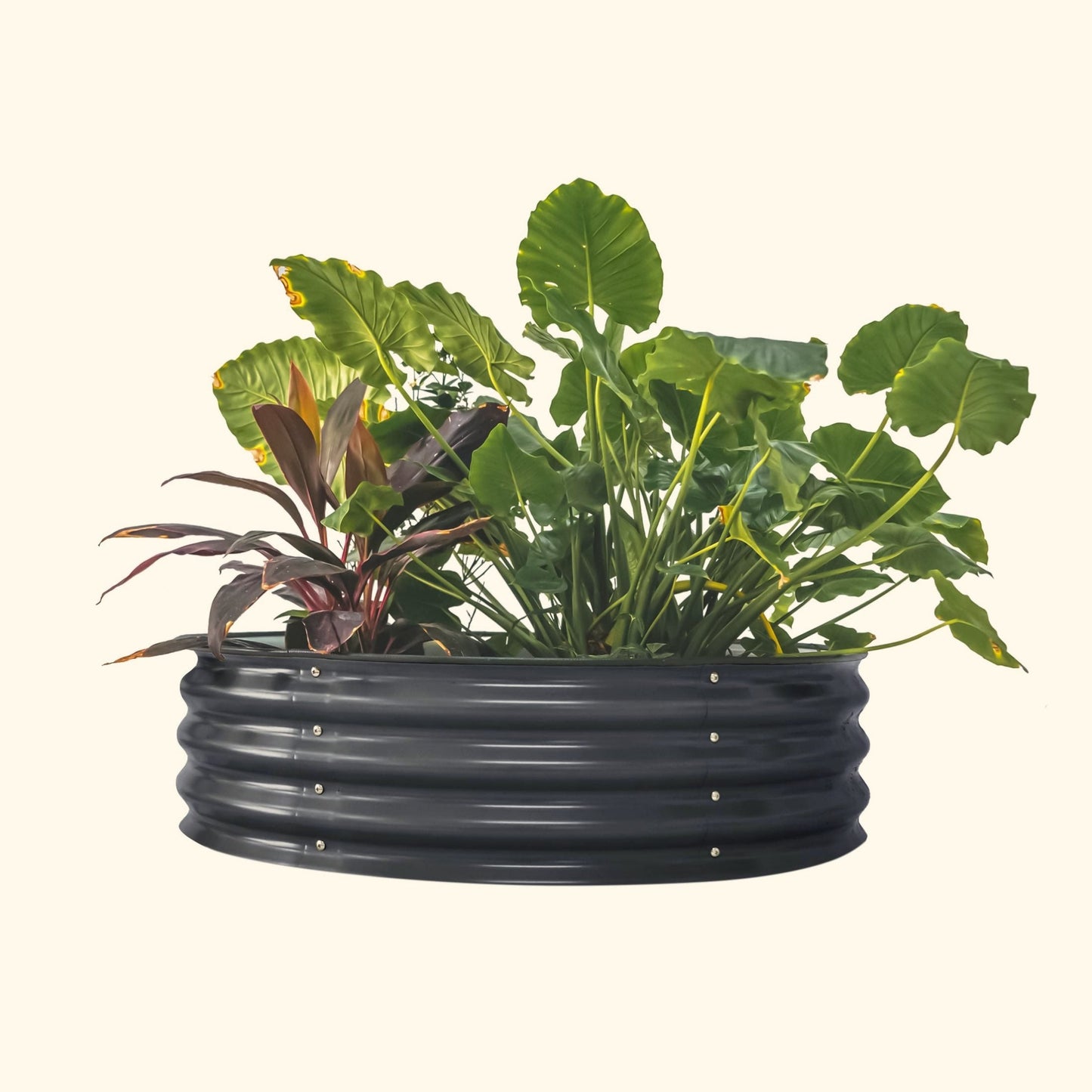 11" High 42" Round Raised Garden Bed Kit | Metal