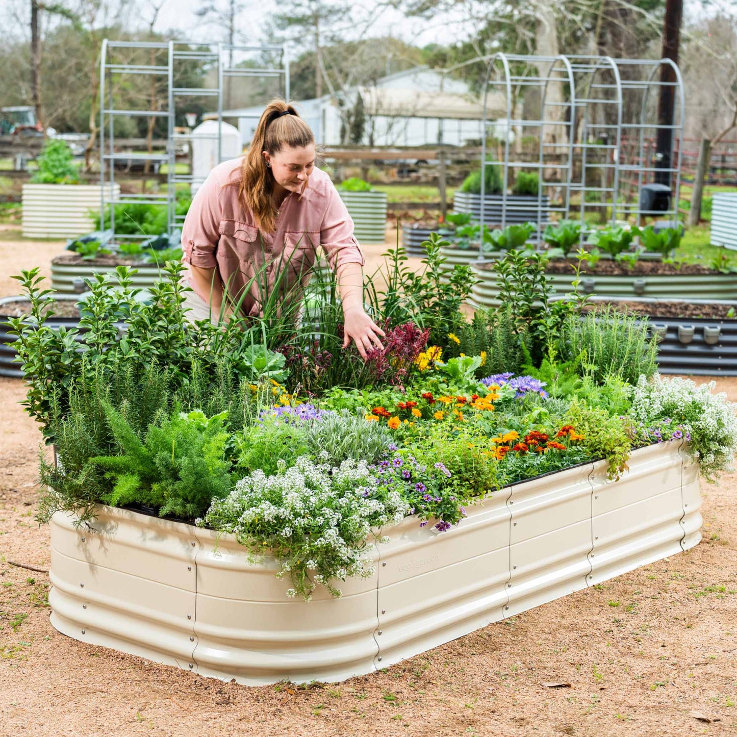 Kit de cama elevada para jardín Novel de 17" de alto, tamaño gigante, 10 en 1, modular de metal