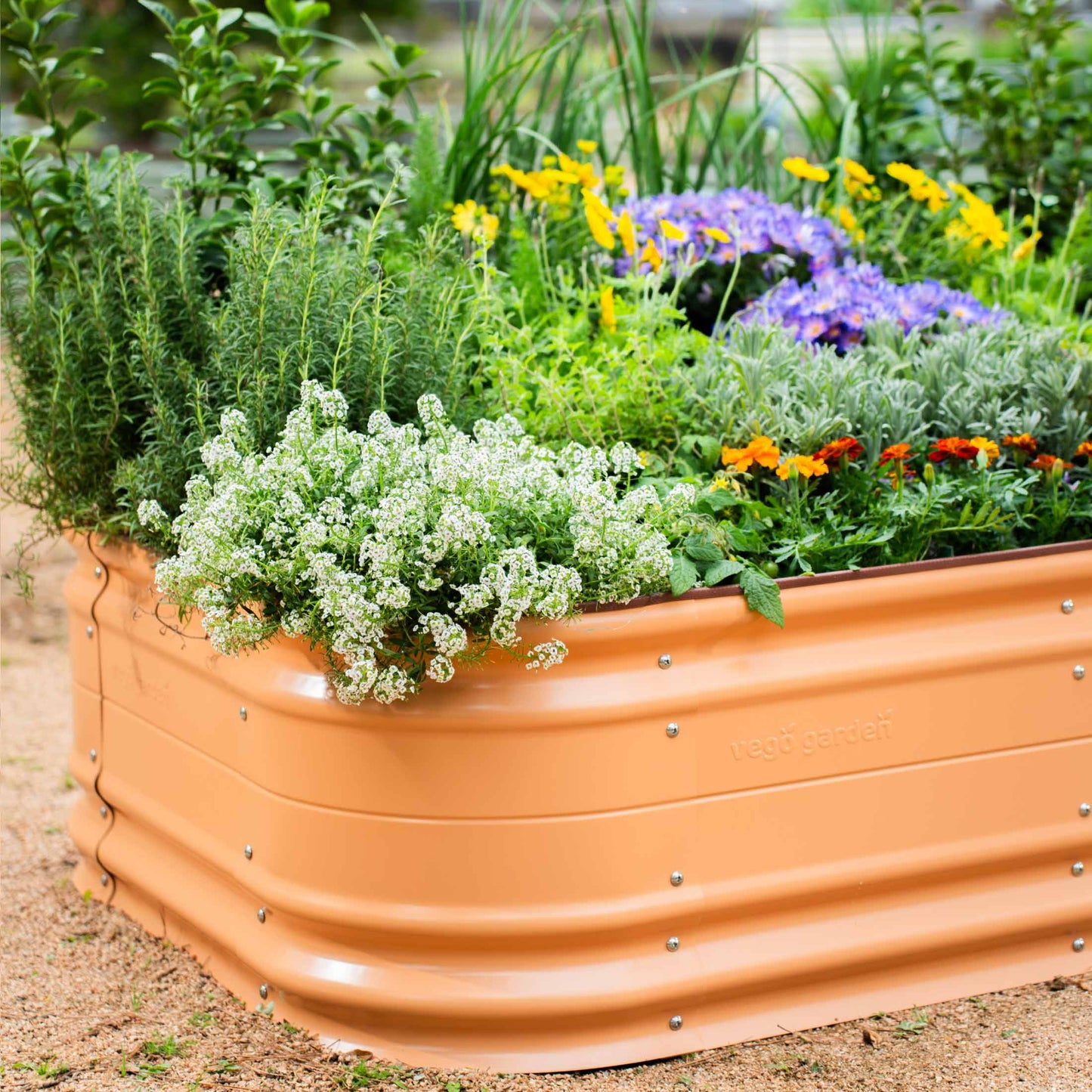 17" Tall Novel Raised Garden Bed Jumbo 10 in 1 Modular Metal