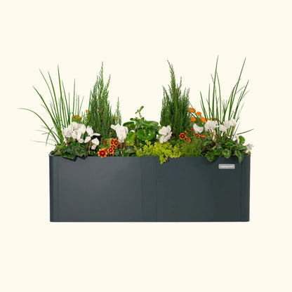 27x53 in Modern Metal Raised Garden Bed by Vego Garden, dark gray planter filled with greenery on Tampa Home & Garden Store