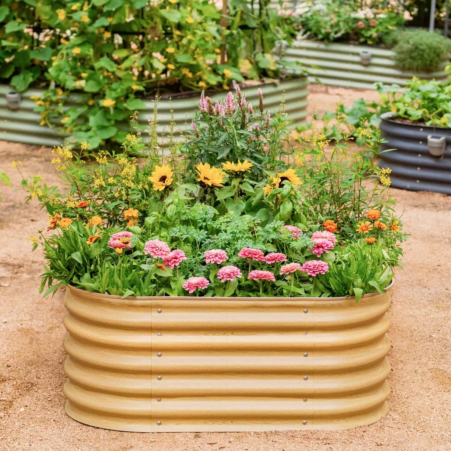Round wooden raised garden bed with tiered rings filled with sunflowers and pink blooms on Tampa Home & Garden Store