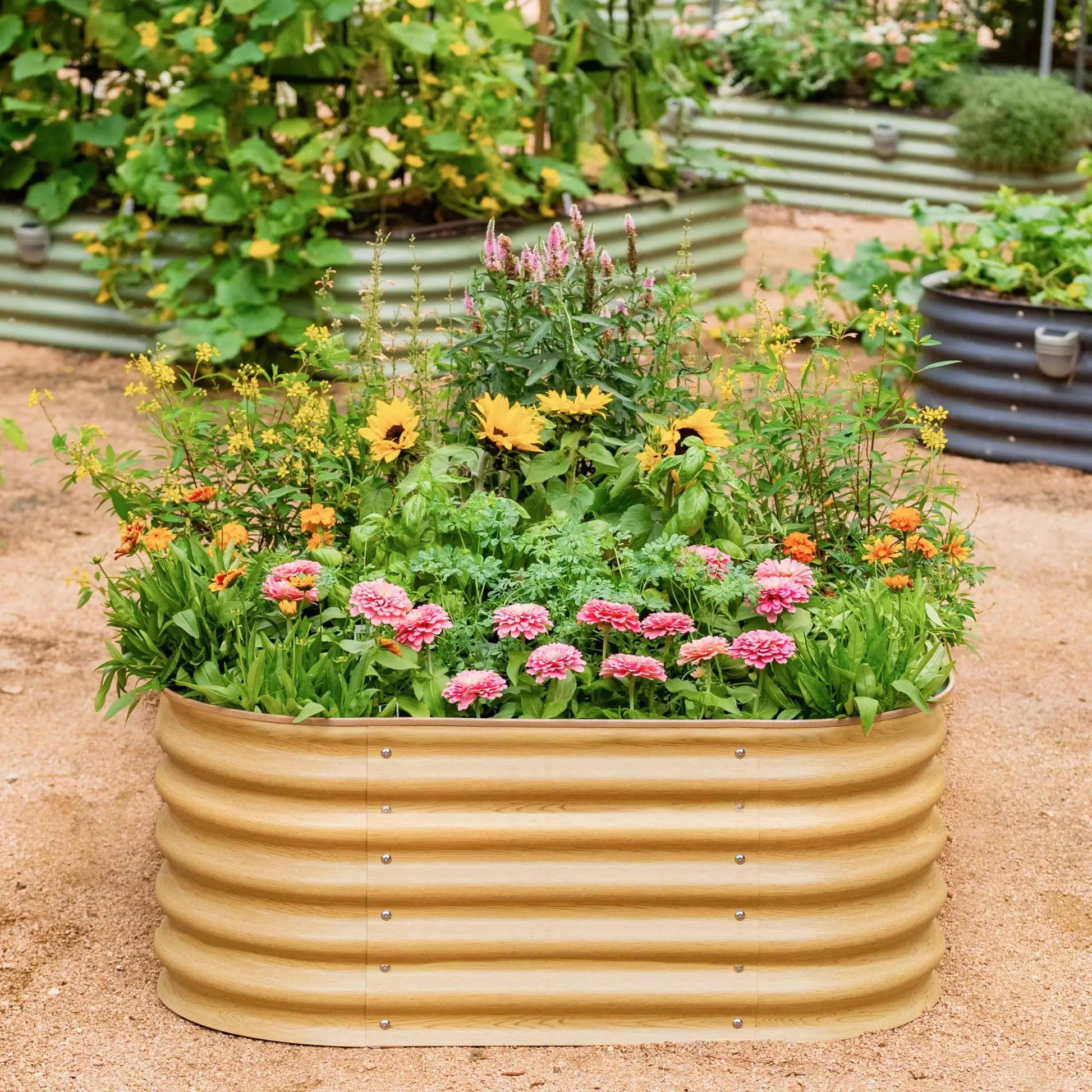 Round wooden raised garden bed with tiered rings filled with sunflowers and pink blooms on Tampa Home & Garden Store
