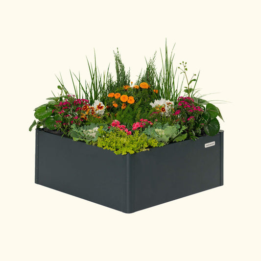 17" Tall Modern Raised Garden Bed 42" x 42" Steel